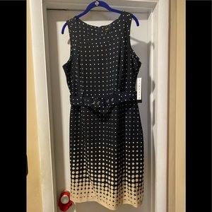 ILE New York  chambray polkadot blue ivory dress
